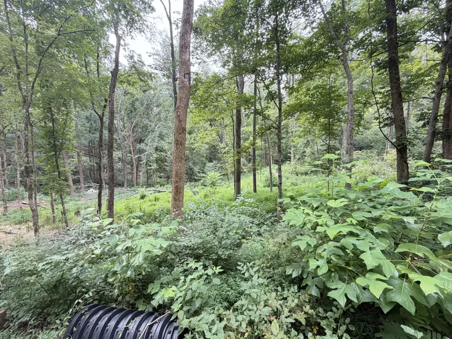 8411 Poplar Creek Rd, Nashville, TN 37221 - #3