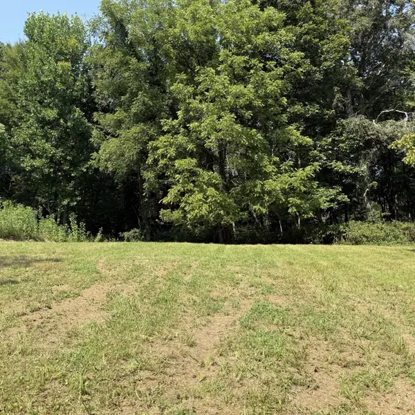 0 N College St, Red Boiling Springs, TN 37150