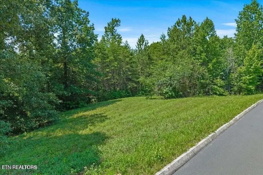 0 Copper Still Way, Madisonville, TN 37354 - #2