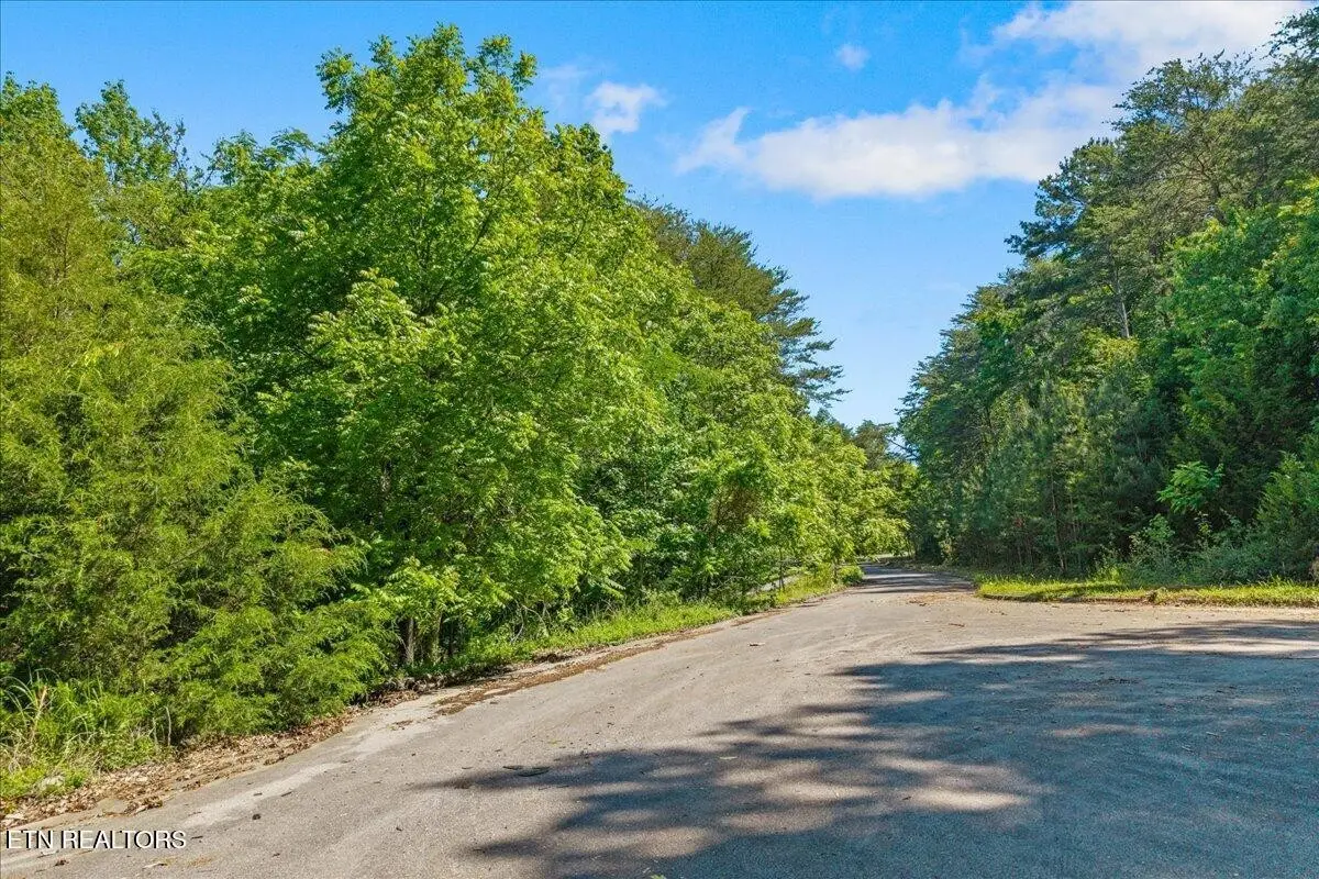 0 Elm Lane, Sweetwater, TN 37874 - #1