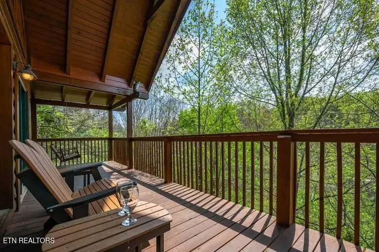 1979 E Mountain View Way, Pigeon Forge, TN 37876 - #3