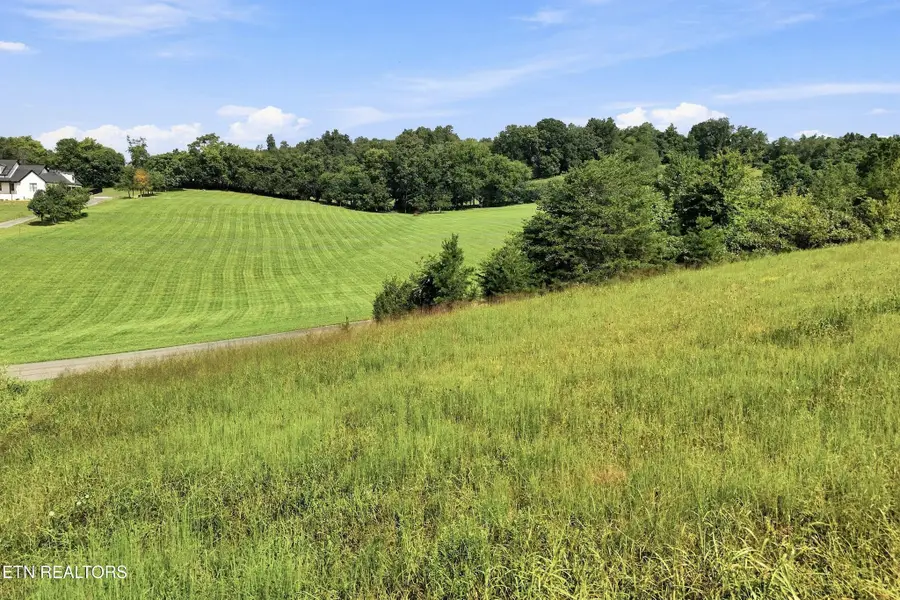 0 Holston River Drive, Rutledge, TN 37861 - #3