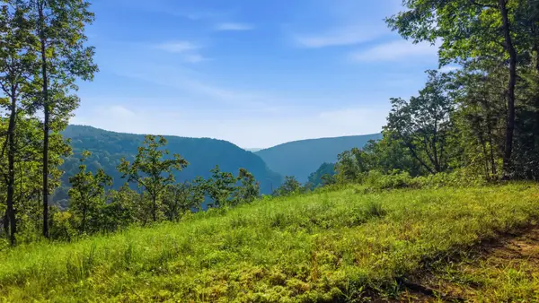 0 Worley Road, Soddy Daisy, TN 37379