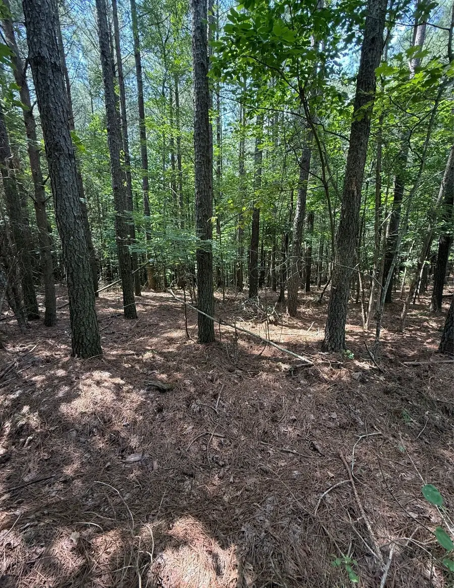 0 Hillis Cemetary Rd, Spencer, TN 38585 - #2