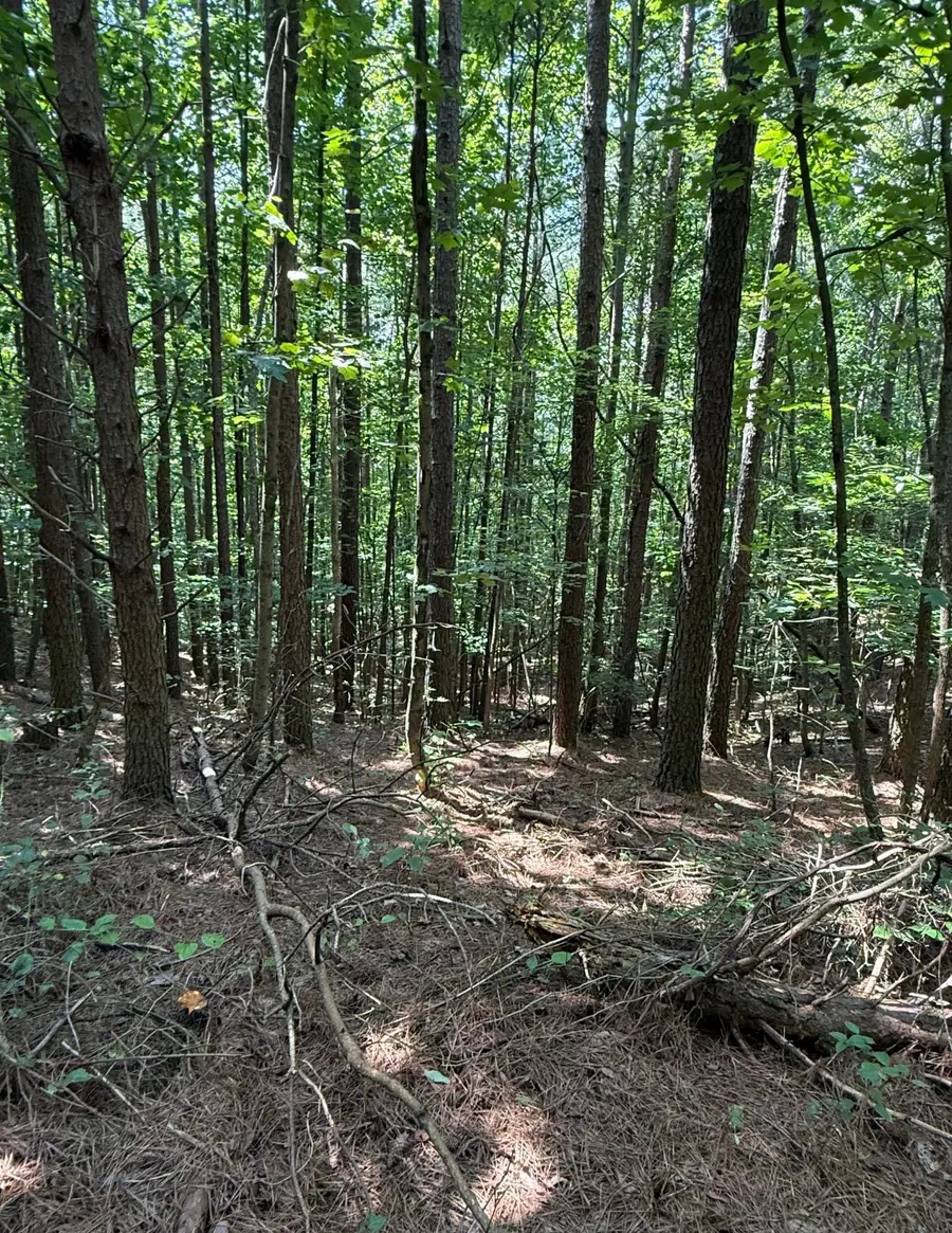 0 Hillis Cemetary Rd, Spencer, TN 38585 - #3