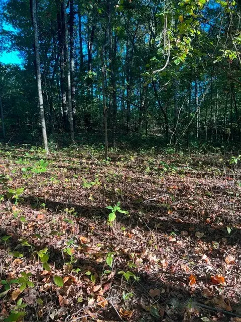 196 Woodstock Dr, Rutledge, TN 37861 - #1