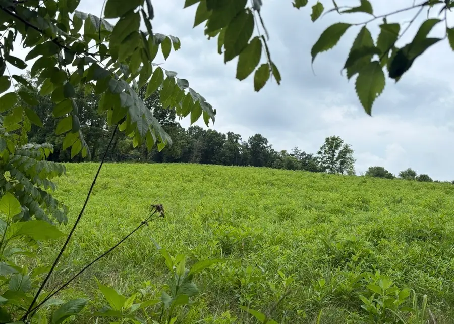 0 Gladdice Road, Pleasant Shade, TN 37145 - #2