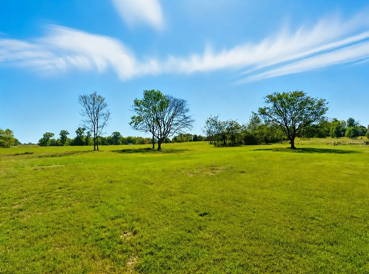 795 White Rd, Portland, TN 37148 - #1