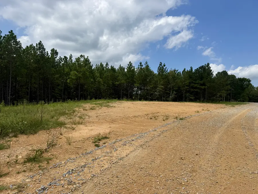 0 Warren Proctor Ln, Erin, TN 37061 - #3