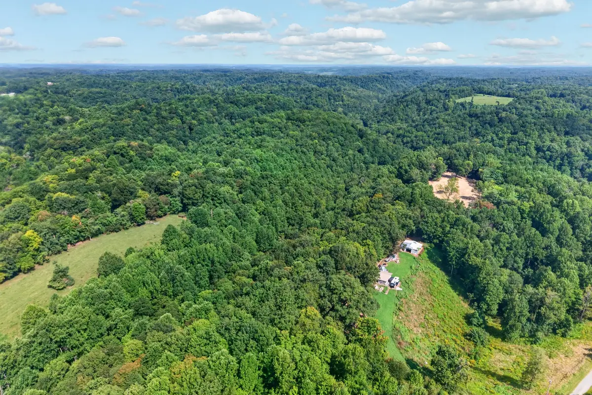 195 Hack Dyer Ln, Bloomington Springs, TN 38545 - #1