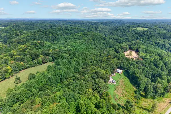195 Hack Dyer Ln, Bloomington Springs, TN 38545