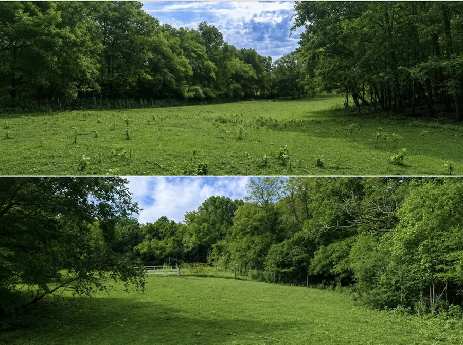 1820 New Highway 7, Columbia, TN 38401 - #2