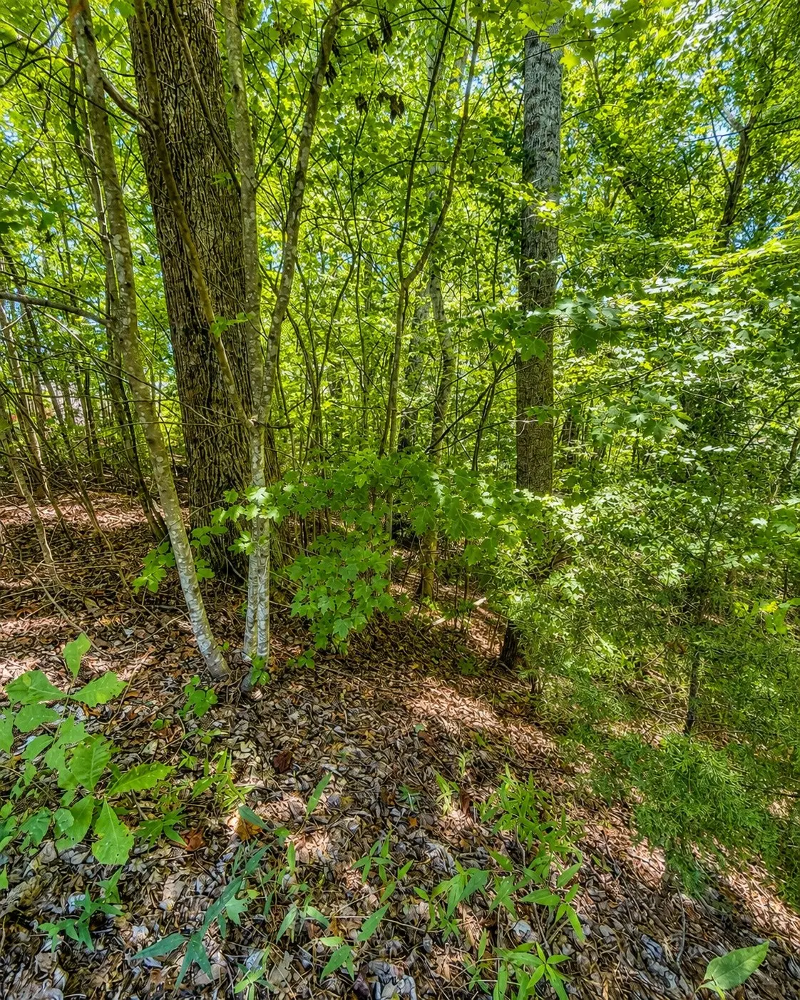 0 Tennis Center Dr, Smithville, TN 37166 - #1