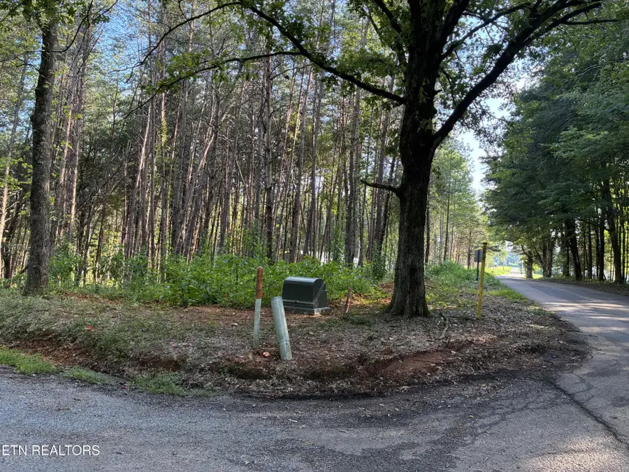 100 County Road 262, Niota, TN 37826 - #3