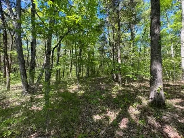 0 Joe Brown Rd, Spring Hill, TN 37174 - #2