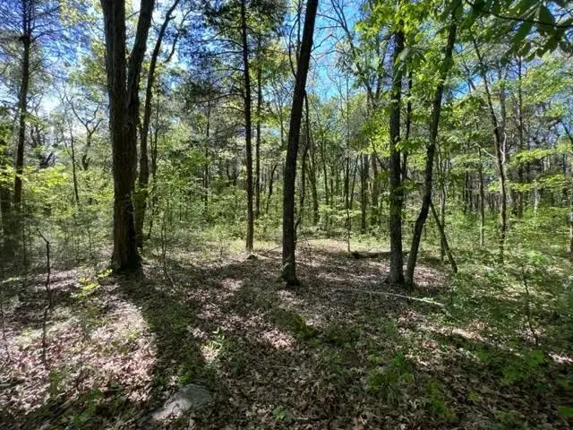 0 Joe Brown Rd, Spring Hill, TN 37174 - #3