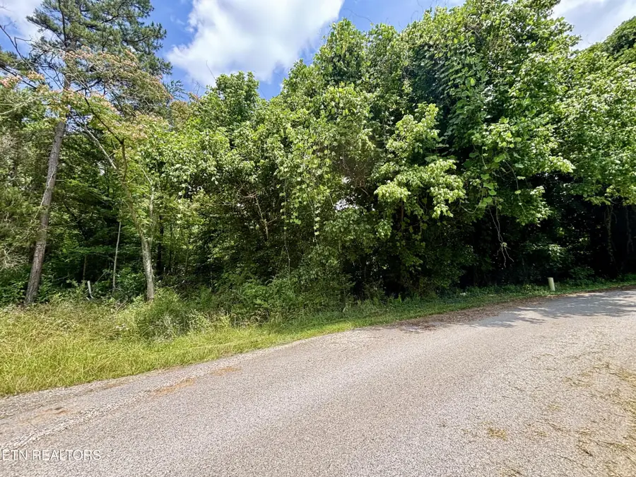 0 Davis Hollow Rd, Harriman, TN 37748 - #2