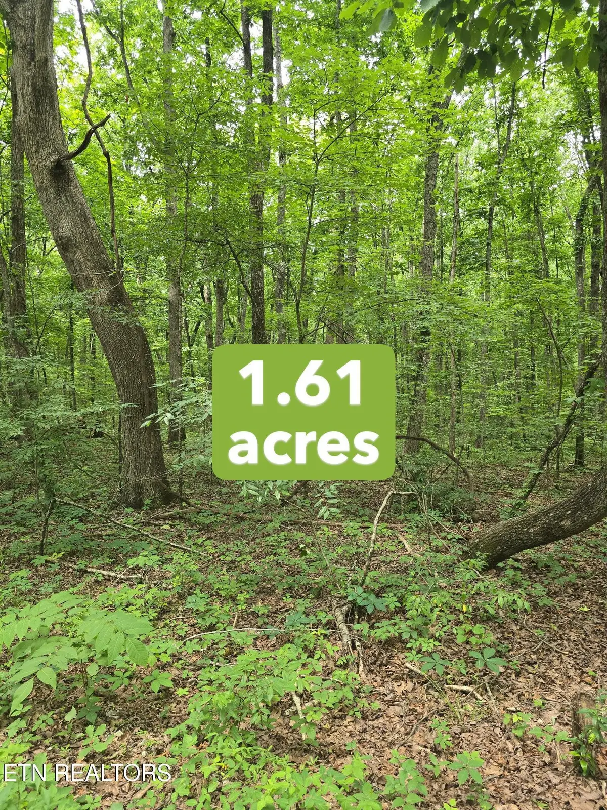 3 W Wind Way, Crossville, TN 38572 - #1