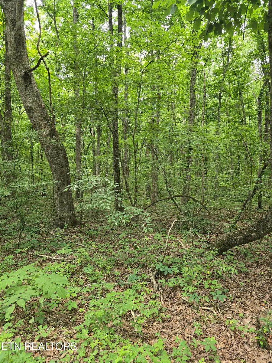 3 W Wind Way, Crossville, TN 38572 - #2