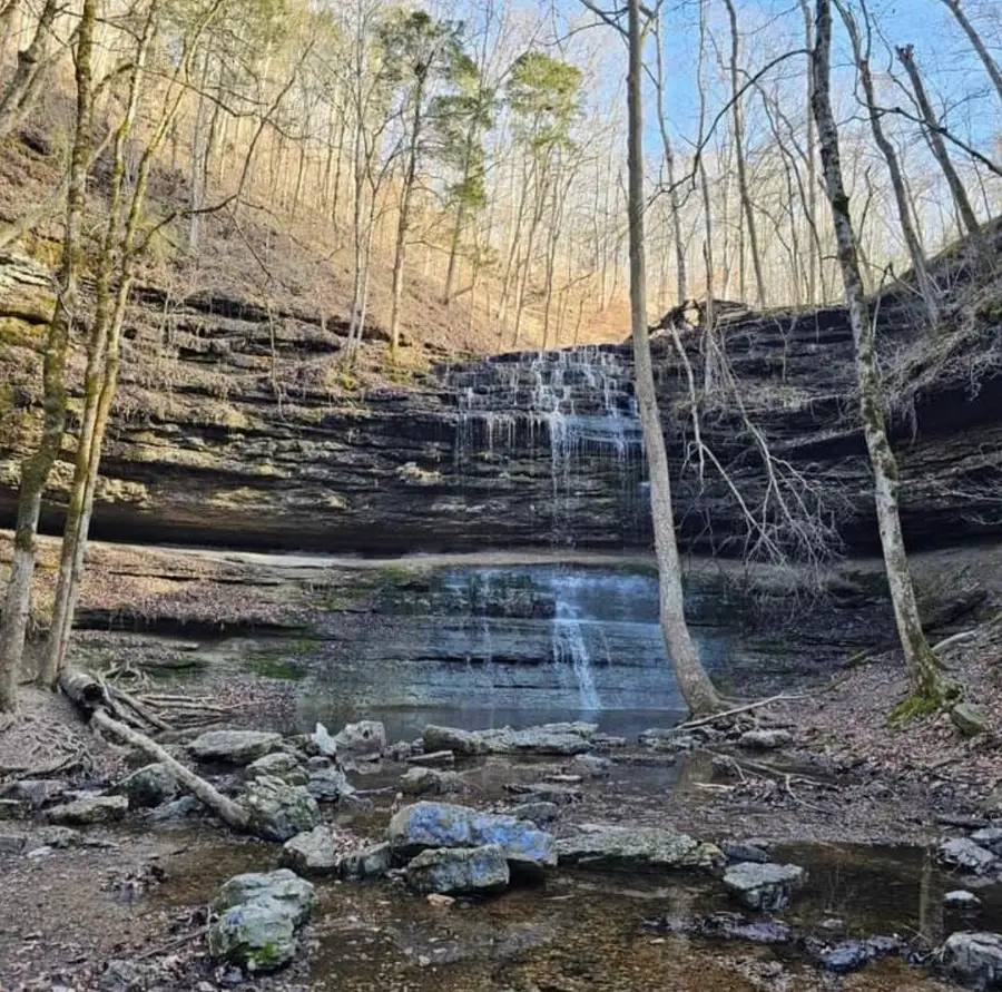 2280 Big Opossum Creek Rd, Linden, TN 37096 - #2