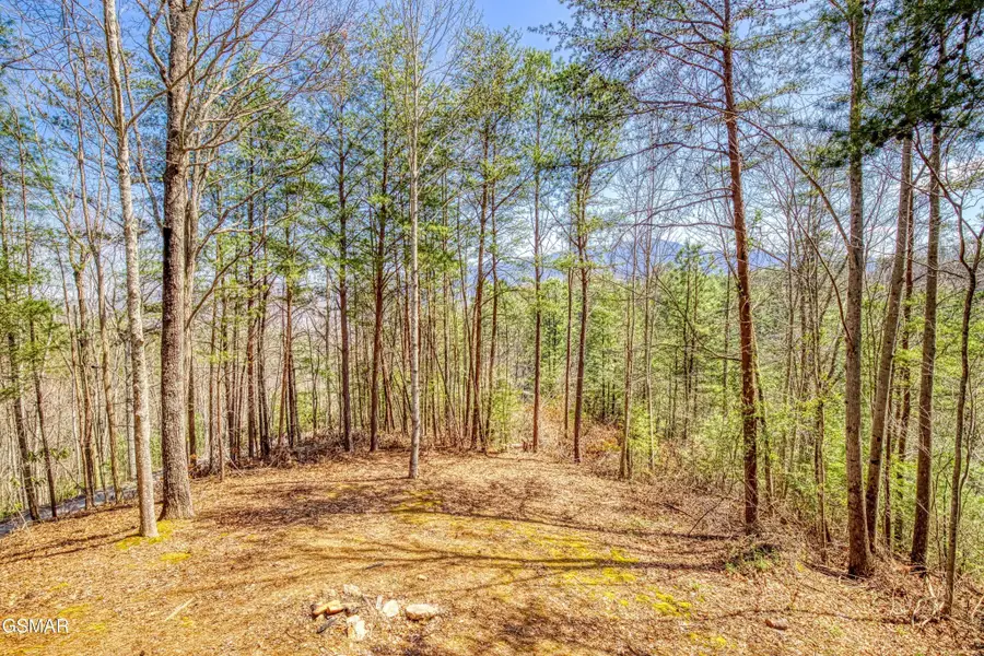 2752 Blue Springs Way, Sevierville, TN 37862 - #2