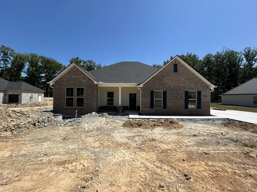 8732 Turnbull Dr, Pleasant View, TN 37146 - #2