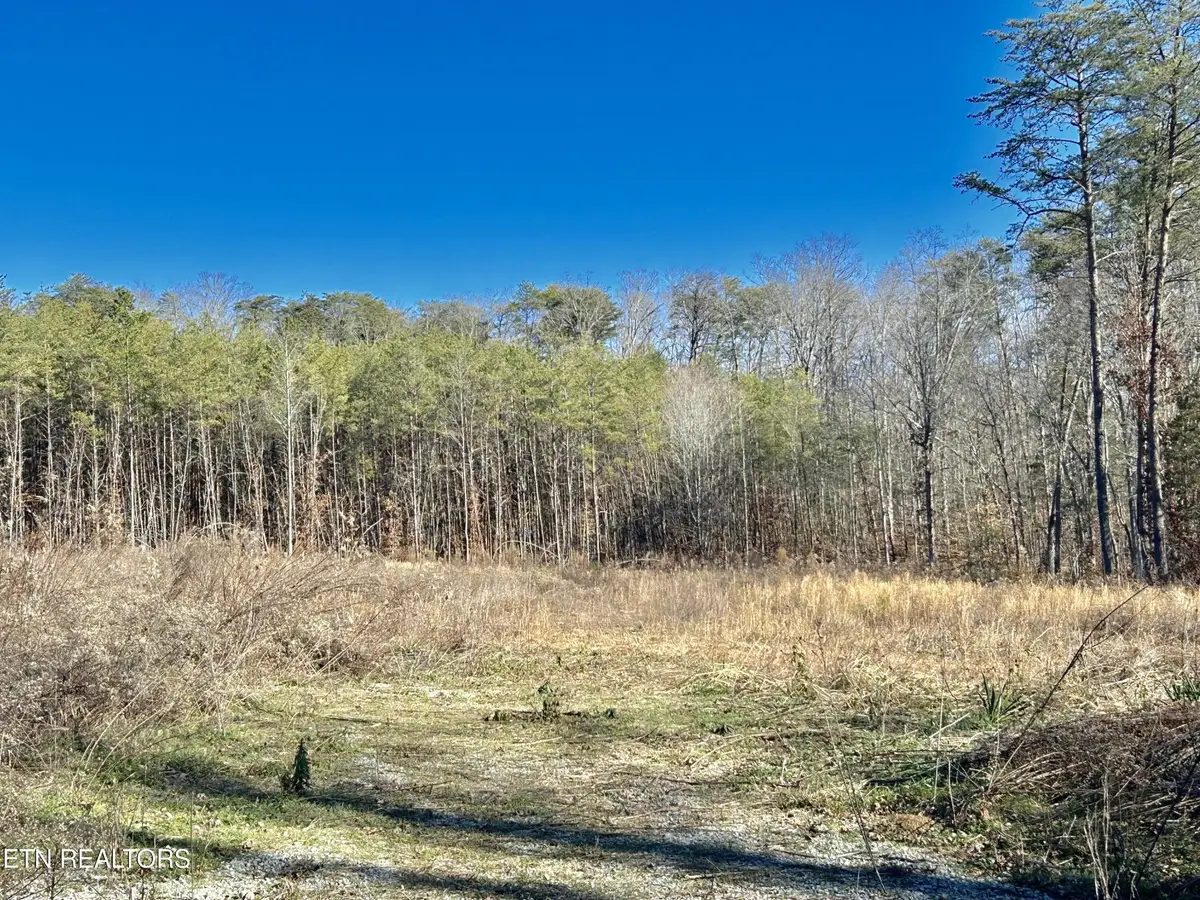 504 Wiggins Rd, Tellico Plains, TN 37385 - #1