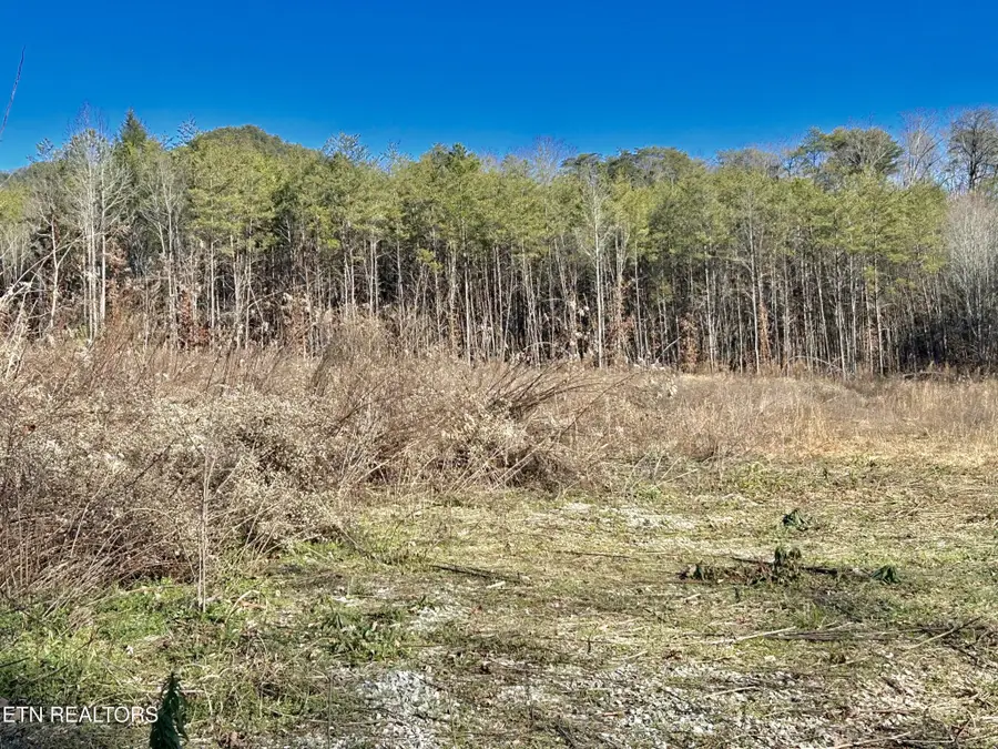 504 Wiggins Rd, Tellico Plains, TN 37385 - #2