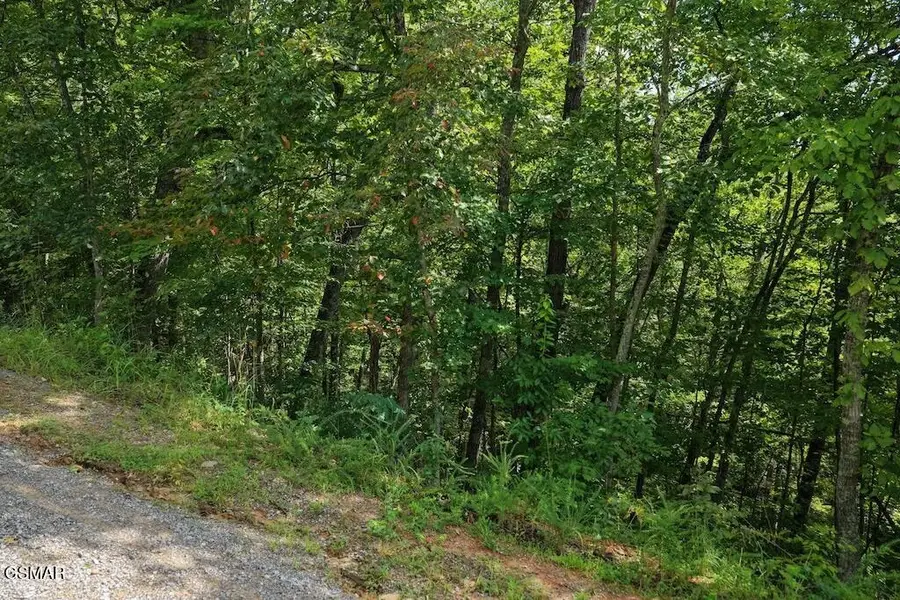 27 Shady Oaks Way, Sevierville, TN 37876 - #3