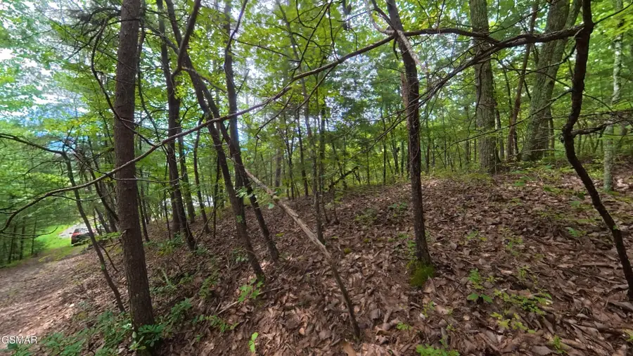 0 Lot 41 Shady Oaks Way, Sevierville, TN 37876 - #3