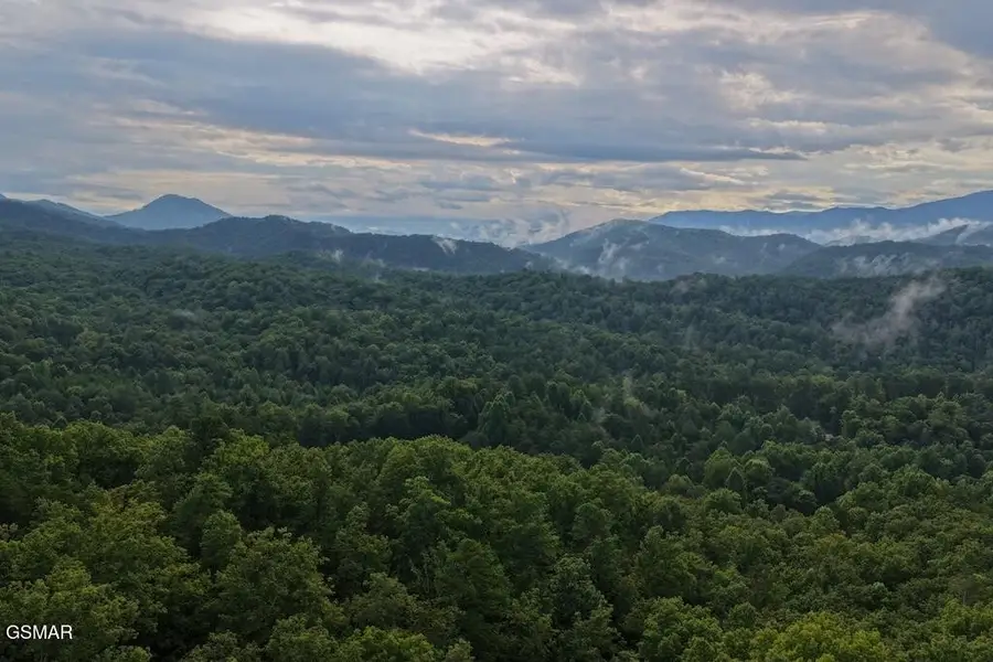 43 Shady Oaks Way, Sevierville, TN 37876 - #3
