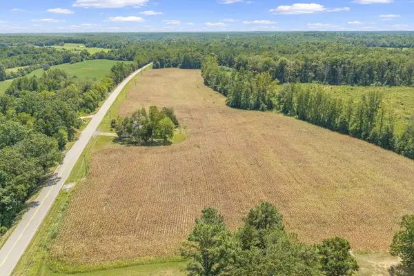 6032 Brooksie Thompson Rd, Decaturville, TN 38329