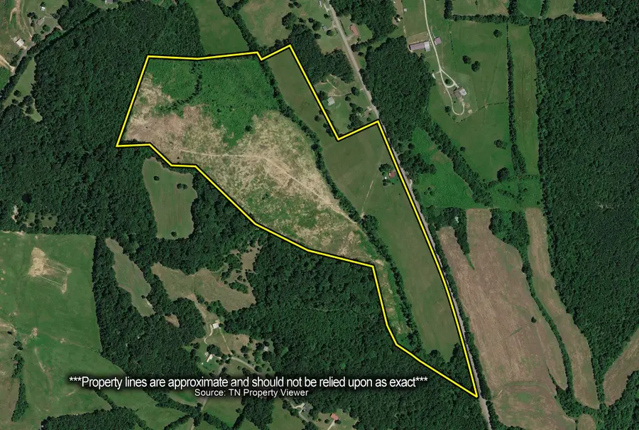 6032 Brooksie Thompson Rd, Decaturville, TN 38329 - #2