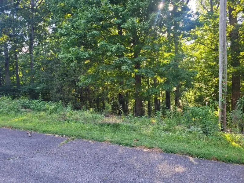 0 Scenic Drive, Dickson, TN 37055 - #1