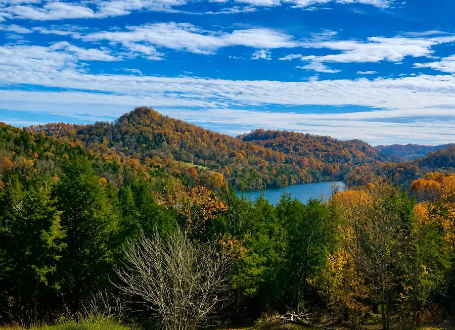 29 Cordell Hull Ln, Elmwood, TN 38560 - #3