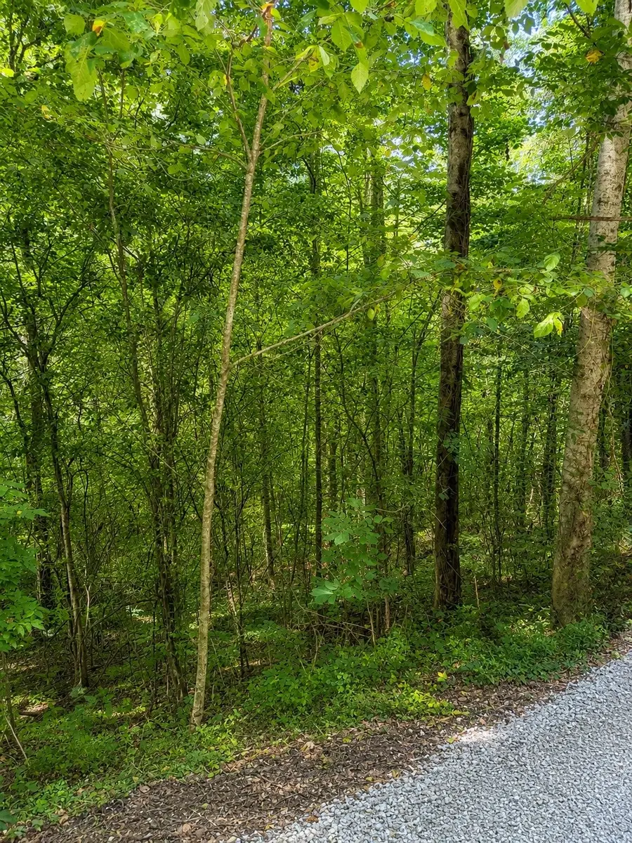 0 Shoreside Dr, Smithville, TN 37166 - #3