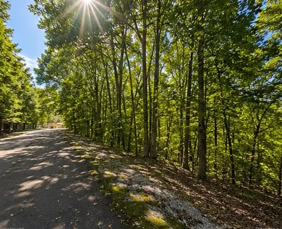 0 Swiper Dr, Smithville, TN 37166 - #1