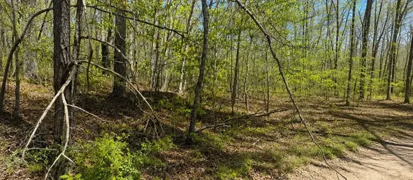 0 Doe Creek Lake Dr, Sparta, TN 38583