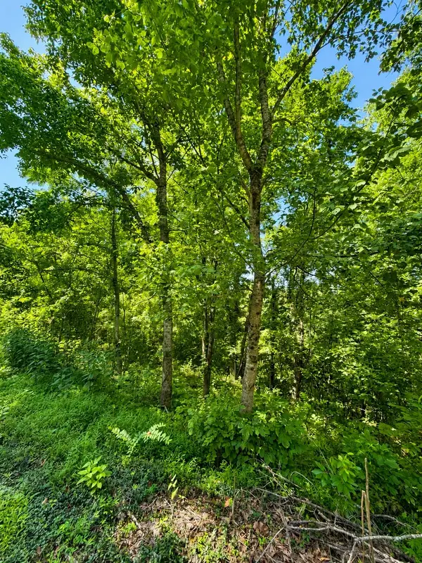 0 Harbor Pointe Lane, Smithville, TN 37166