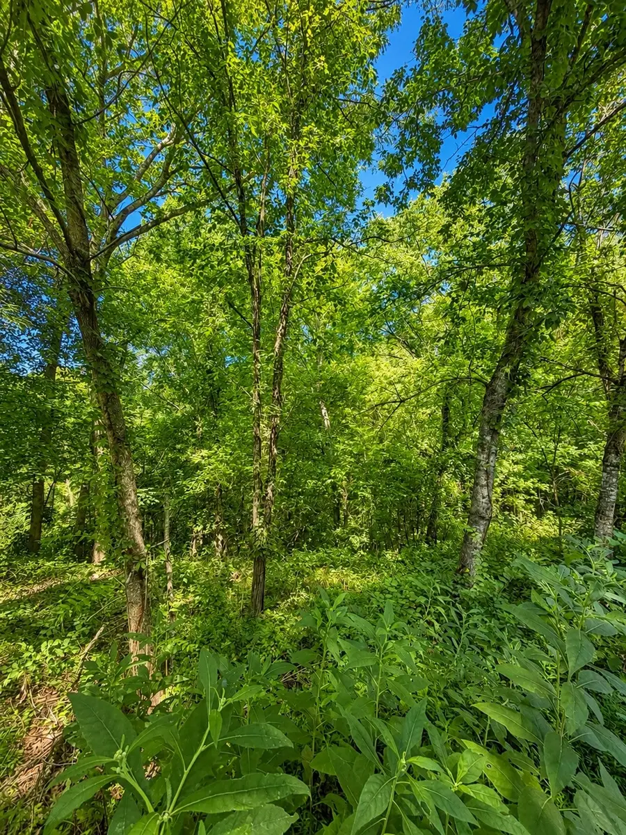 0 Harbor Pointe Lane, Smithville, TN 37166 - #2