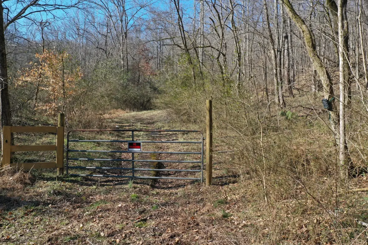 0 Dog Branch Rd, Mount Pleasant, TN 38474 - #1