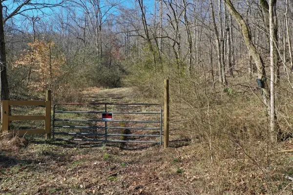 0 Dog Branch Rd, Mount Pleasant, TN 38474
