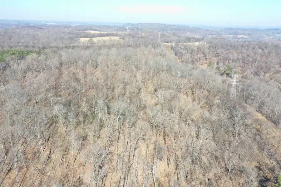 0 Dog Branch Rd, Mount Pleasant, TN 38474 - #2