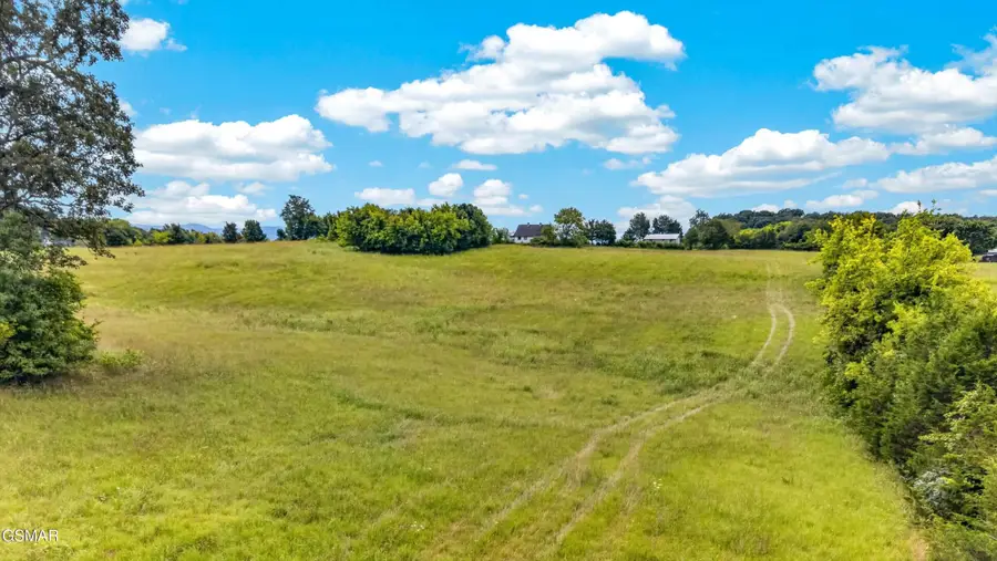 3 Wells Spring Road, Dandridge, TN 37725 - #2