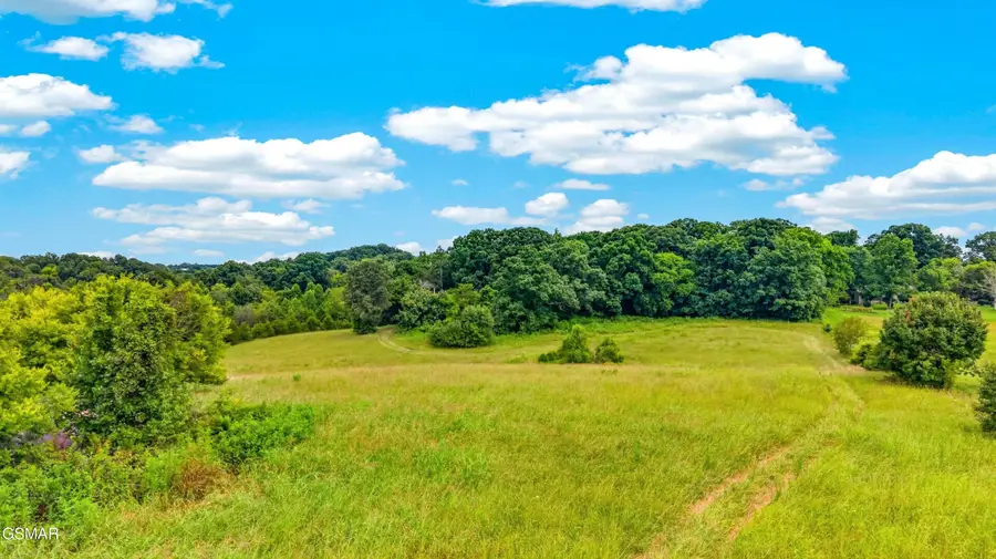 3 Wells Spring Road, Dandridge, TN 37725 - #3