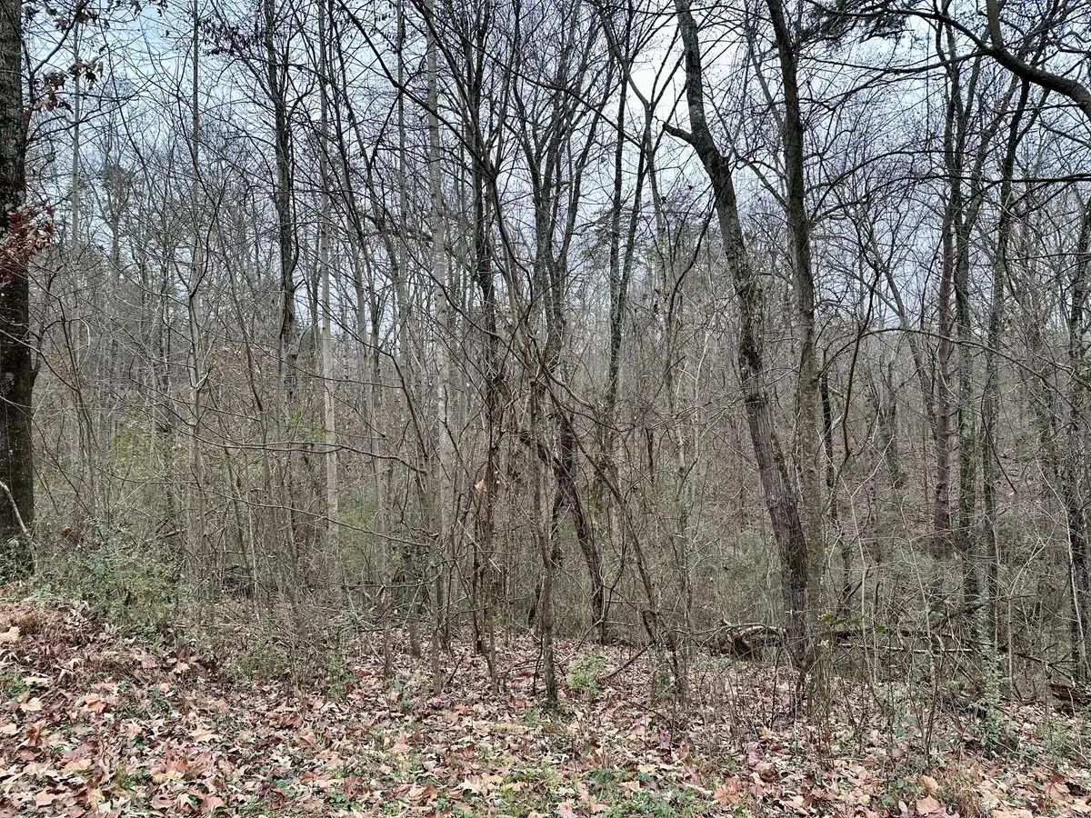 310 Brumlow Hollow Road, Soddy Daisy, TN 37379 - #1