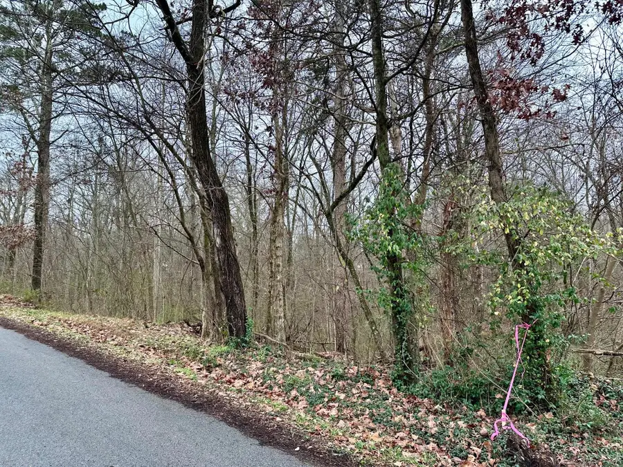 310 Brumlow Hollow Road, Soddy Daisy, TN 37379 - #2