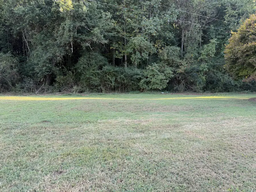 641 Ruth Hildreth Rd, Smithville, TN 37166 - #2