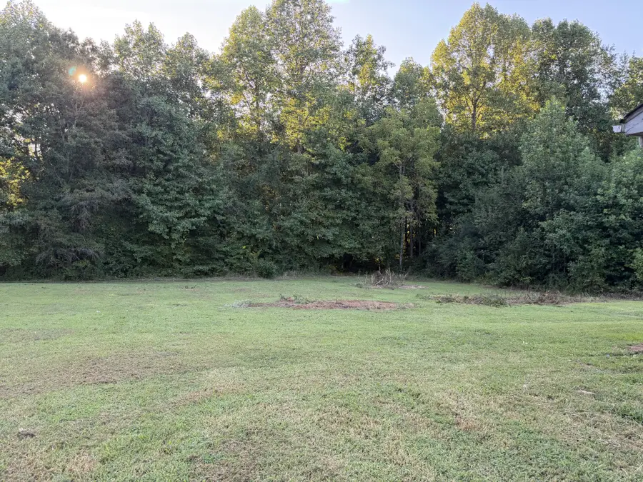 641 Ruth Hildreth Rd, Smithville, TN 37166 - #3