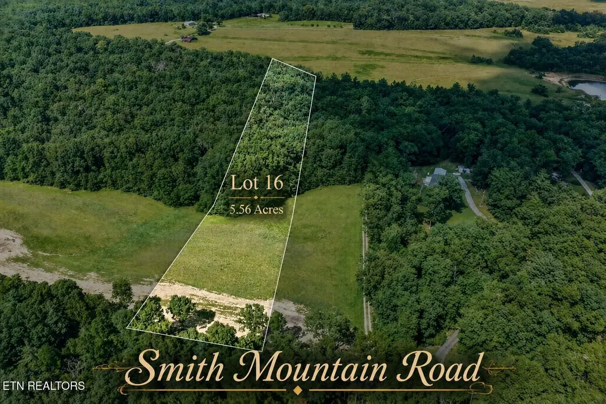 16 Smith Mountain Rd, Rockwood, TN 37854 - #1